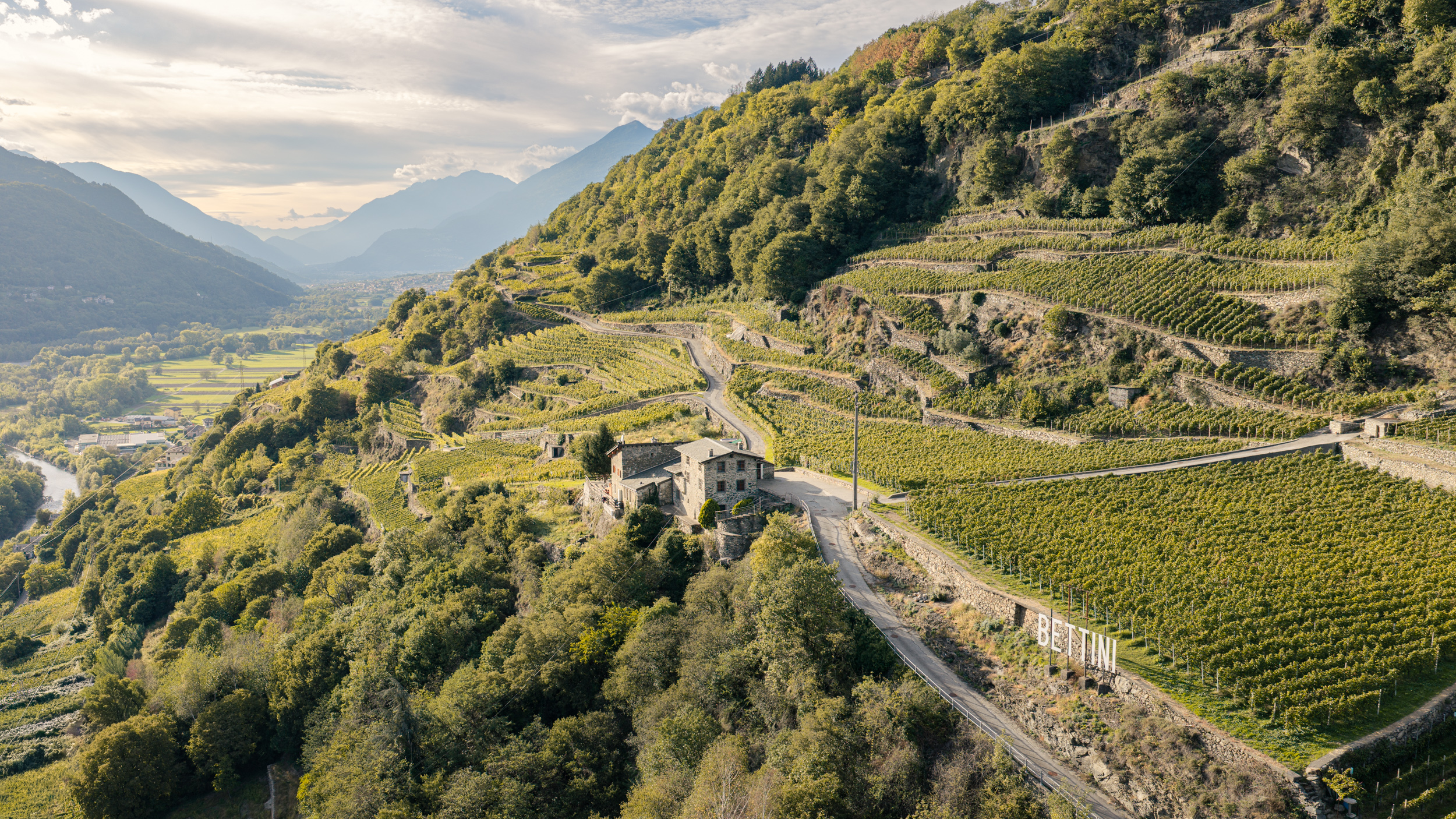 vigneto valtellina