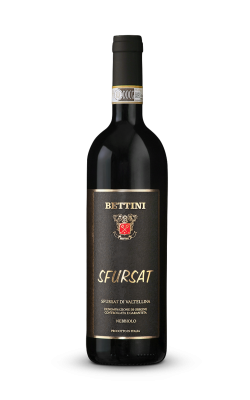 bottiglia vino sfursat vini bettini