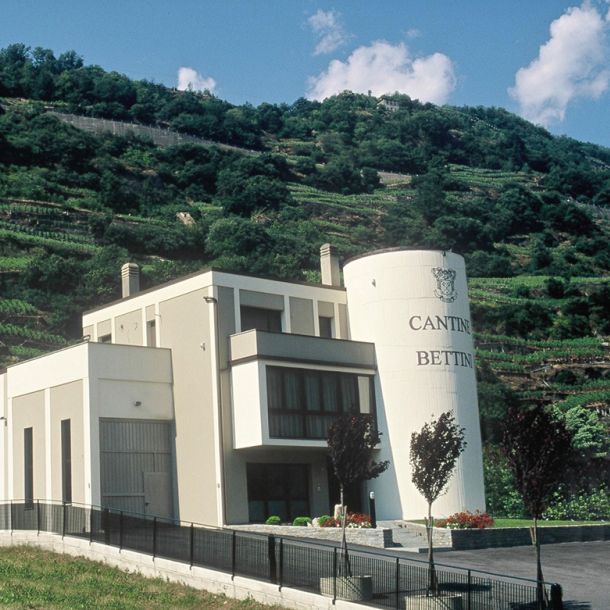 sede azienda vinicola fratelli Bettini